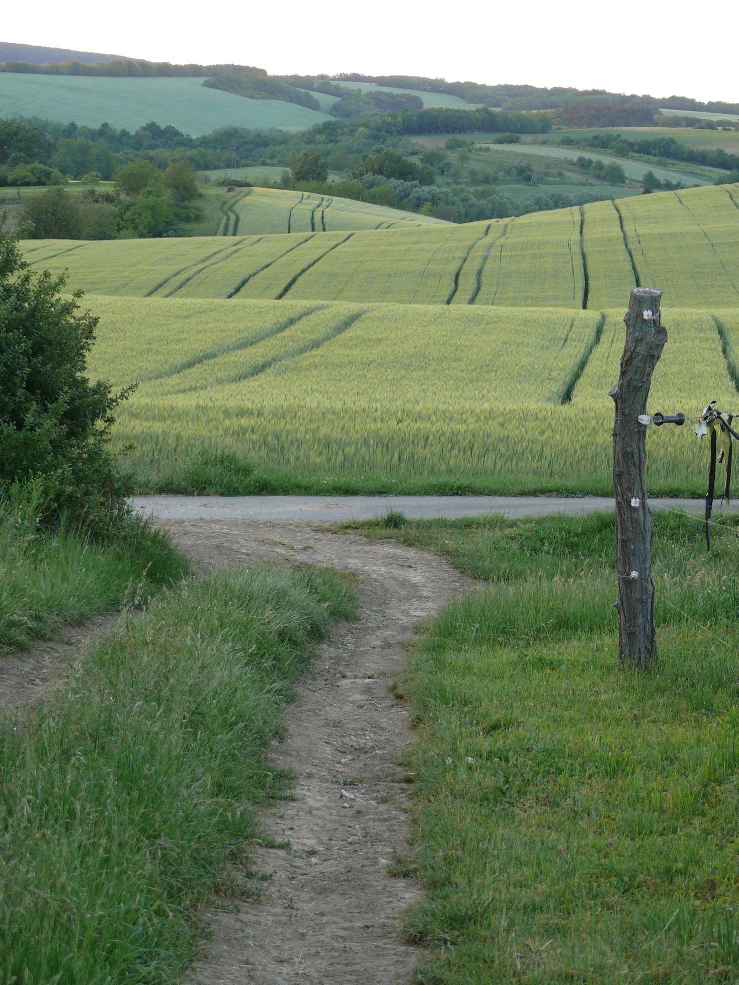 omgeving-hongarije-vakantiehuisje